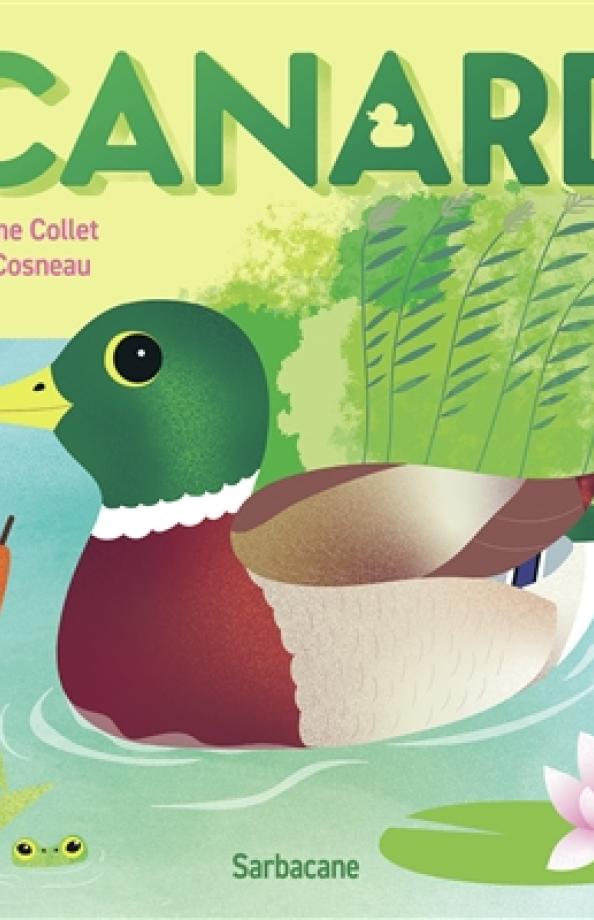 Collet Canard