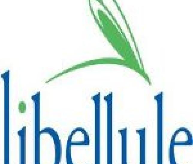 Libellule
